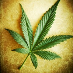 Getting High And Believing In God - SoundCloud