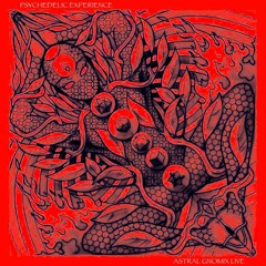 LSD PSYCHEDELIC EXPERIENCE - SHANKRA FESTIVAL FULL LIVE