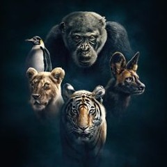 Fitzpatrick - Dynasties (Original Mix) Free Download