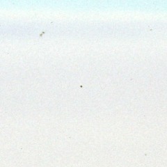 brnt.0ut / open hands through the fog