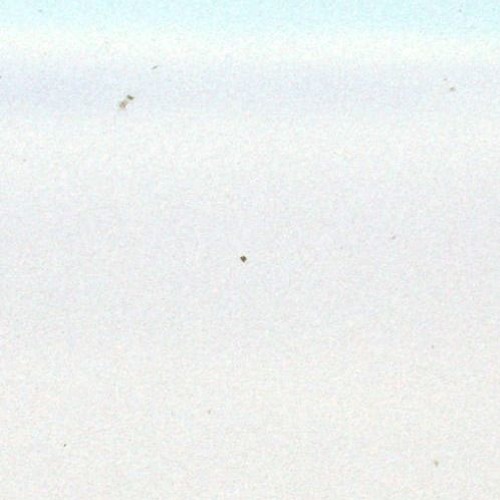 brnt.0ut / open hands through the fog