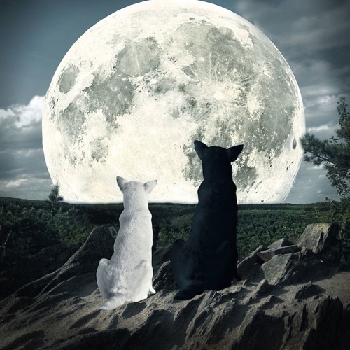 Two Souls