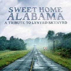 Lynyrd Skynyrd - Sweet Home Alabama (acoustic cover)