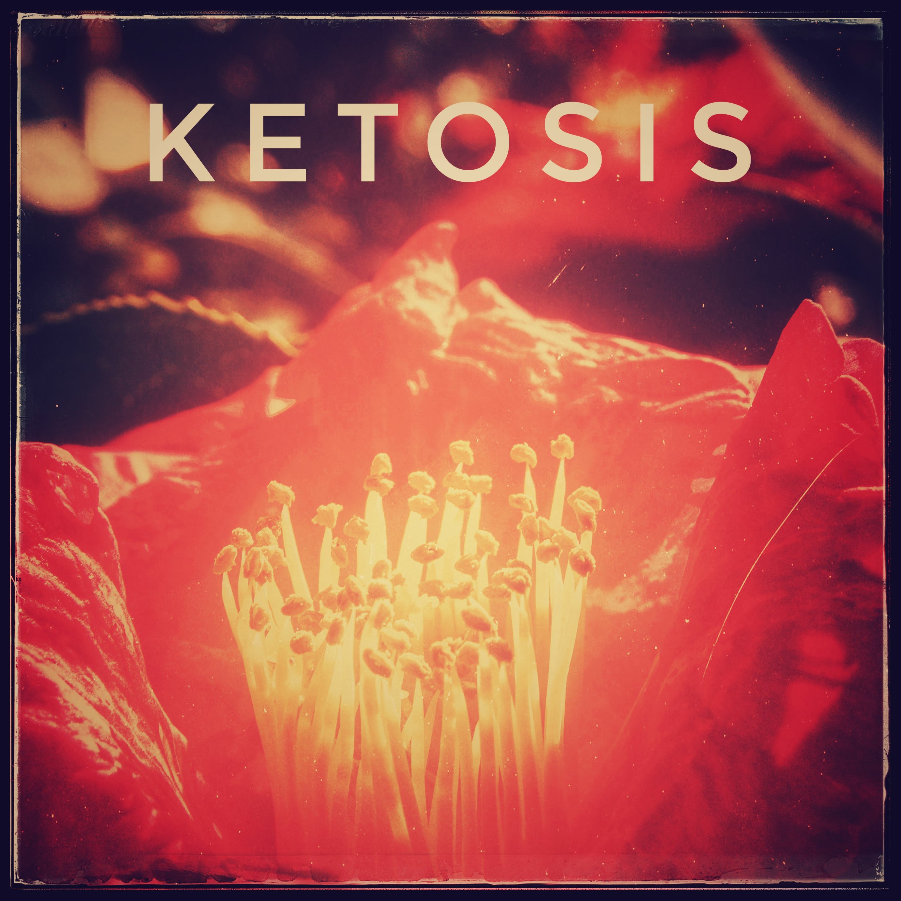 Ketosis episode artwork