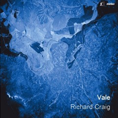 Richard Barrett - vale for solo flute