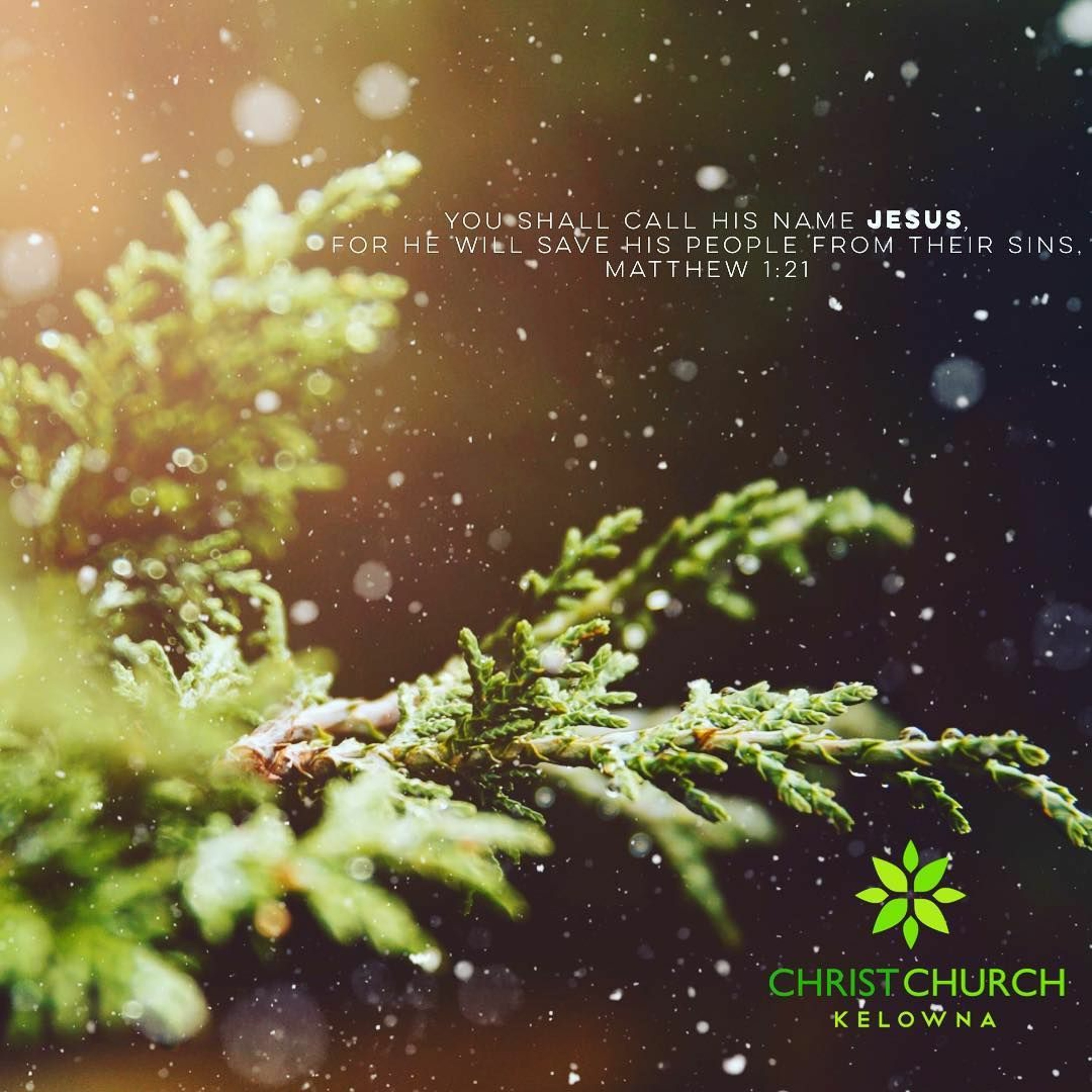 Josh Barnett - Matthew 1:18-35 episode artwork