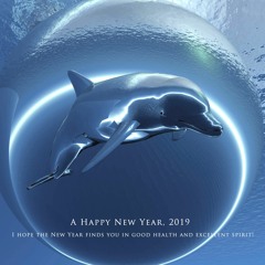 Enjoyed in 2019