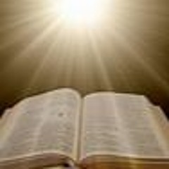 TESTIMONY FREESTYLE 2