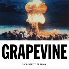 Tiesto - Grapevine (Zakfreestyler Remix)[Free Download]