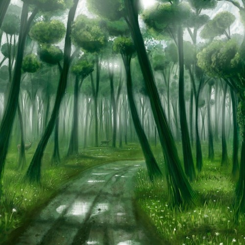 Apricot Forest