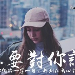 小蓉 - 想要對你說 ( BK Remix 2019 )cut