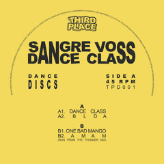DC Promo Tracks #310: Sangre Voss "Amam" (Run From The Thunder Mix)