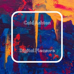 Digital Pleasure (Concept Album)