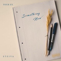 Something New - Your Ex Ft Steiya