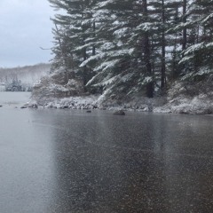 You're Not Coming Home