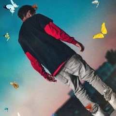 BUTTERFLY EFFECT  (original)