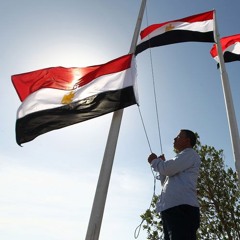 شيرين عبد الوهاب عاشت مصر - الراديو 9090