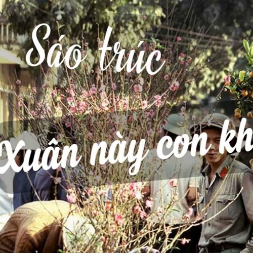 Sáo Trúc Xuân Này Con Không Về