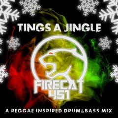 FIRECAT 451 - Tings A Jingle (Reggae Inspired DnB)