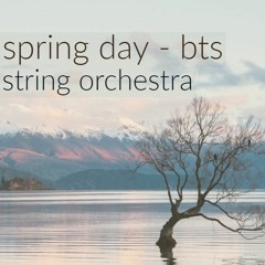 Spring Day by BTS (String Orchestra Cover)