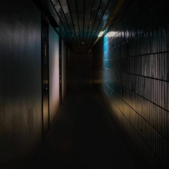 There Was No Light at the End of the Tunnel