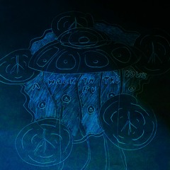 A Walk Thru The Cove