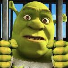 Shrek has swag 19
