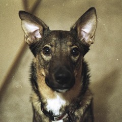 Strawberry Road [beat by Freddie Joachim]