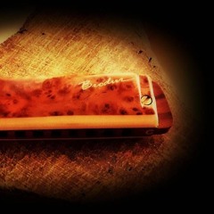 Dimitri Shostakovich, Walz no 2 (Diaotonic harmonica & guitar)