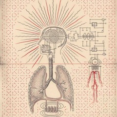 Ain't It Funny How Square the Squares Are?