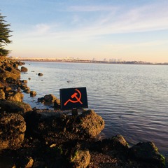 3.5 Gram Shooting Star