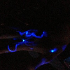 Merry Christmas, Happy Holiday