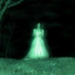 Phantom Of The West Woods