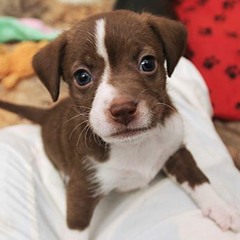 Liz Burrito - Arms Of An Angel Commercial