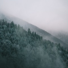 Blut Own & Zeitfall - Nightglide