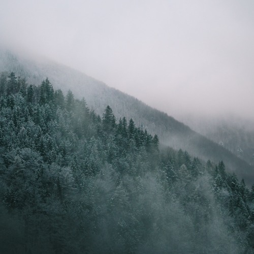 Blut Own & Zeitfall - Nightglide