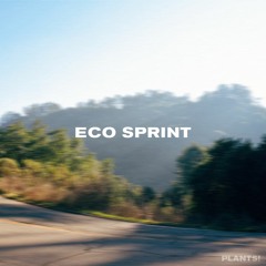 Eco Sprint