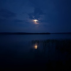 Moonlight