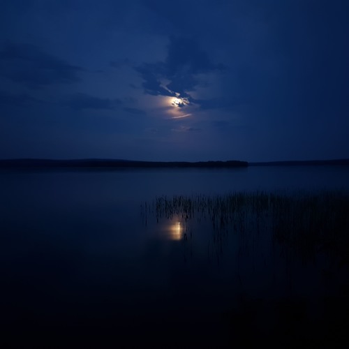 Moonlight