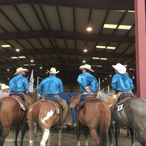 Stream At the Big Bend Ranch Rodeo, Mutton Bustin’ is Prep for a Next ...
