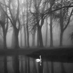 Keith Heart - Melting Snow