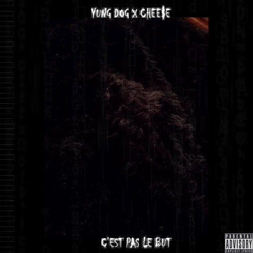 YUNG DOG - C'est pas le but (prod. CHEE$E)