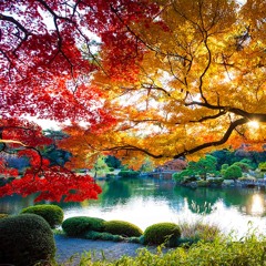 Flying Through the Fall