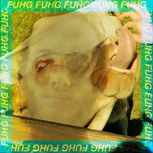 Shloop