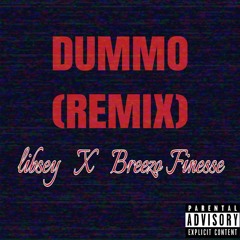 Dummo (Remix) (Feat. Breezo Finesse)