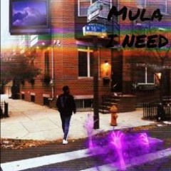 Mula - I Need [Prod BELDONDIDTHAT]