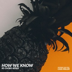 Sleeping Lion feat. Cass Miller - How We Know (Re-Chord Remix)