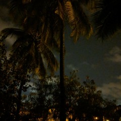 Youngllndus - Feel Like