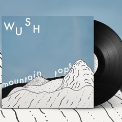 wüsh - wind down (LP preorder in description)
