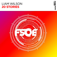 fsoe 2019
